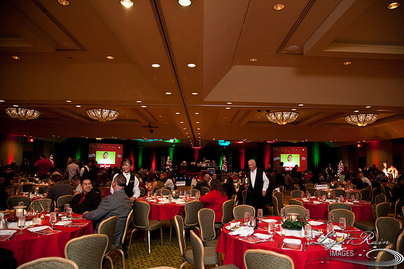 760_HolidayVenueDetails2013byLightRainImages