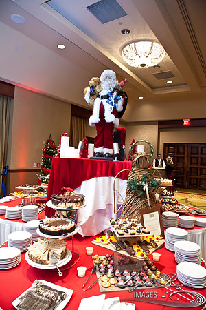 750_HolidayVenueDetails2013byLightRainImages