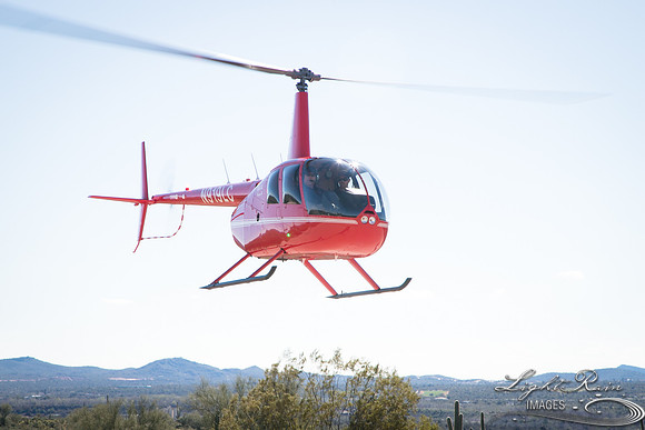 LRI-OV383_PatelSK-02232019