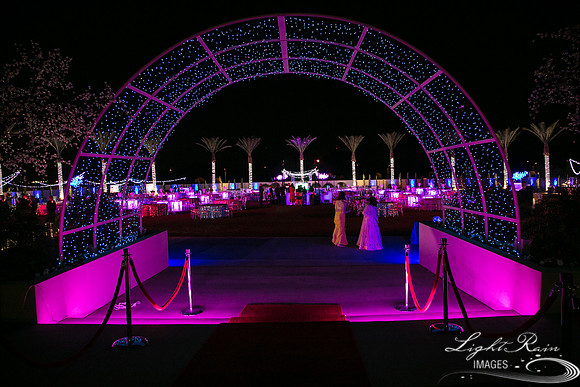 LRI-165_ChateauLDiwali10282017
