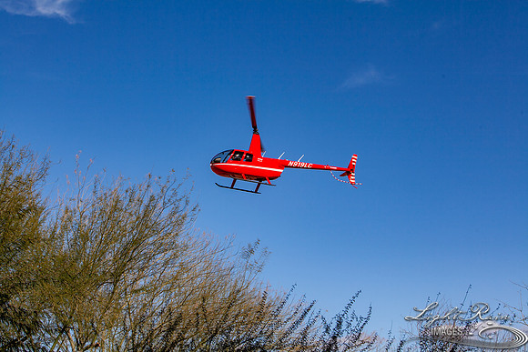 LRI-OV419_PatelSK-02232019
