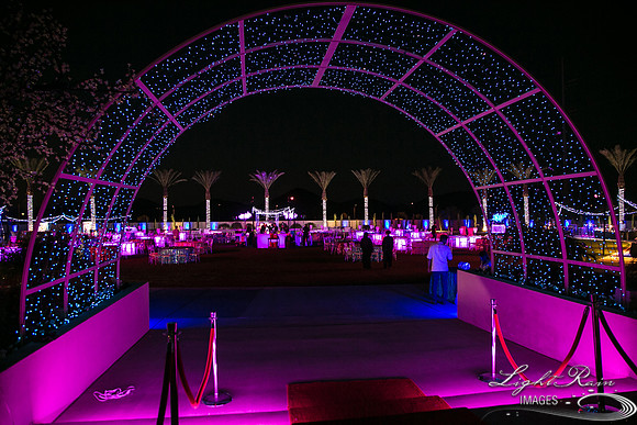LRI-142_ChateauLDiwali10282017