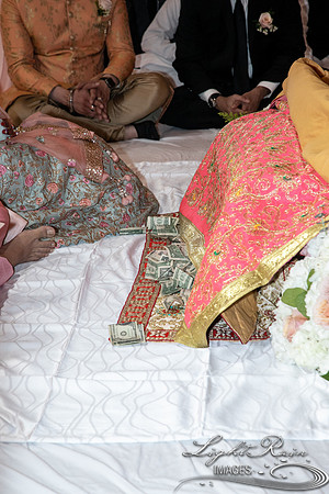 LRI-OV196_PatelSK-02232019