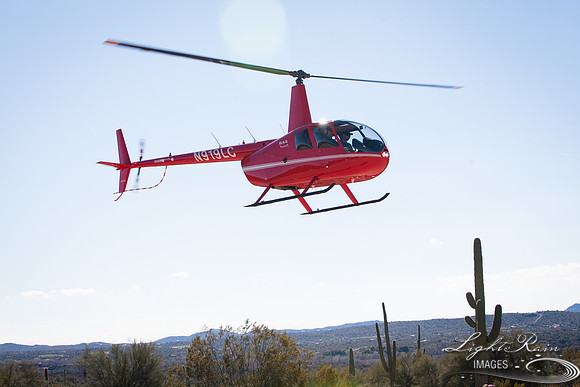 LRI-OV379_PatelSK-02232019