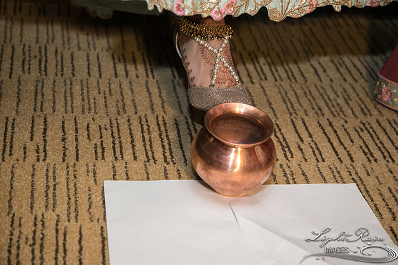 LRI-OV424_PatelSK-02232019