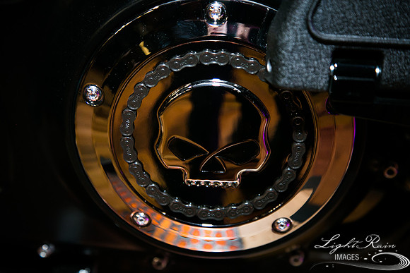 LRI213-HarleyDavidson_01262019