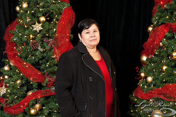 336_HolidayPhotoBooth2013byLightRainImages