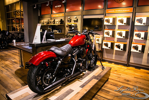 LRI074-HarleyDavidson_01262019
