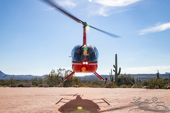LRI-OV412_PatelSK-02232019