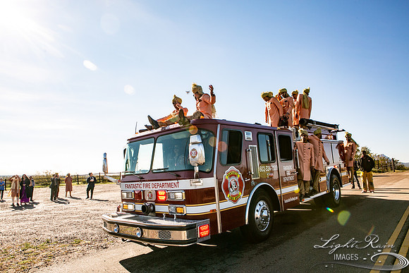LRI-OV060_PatelSK-02232019