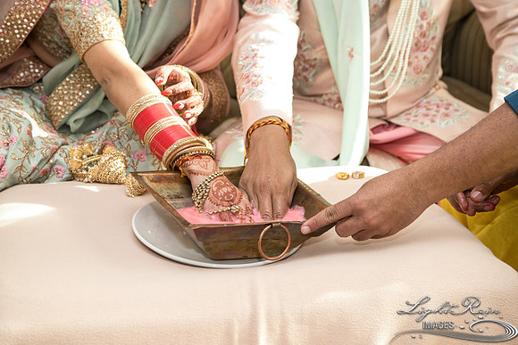 LRI-OV429_PatelSK-02232019