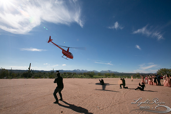 LRI-OV393_PatelSK-02232019