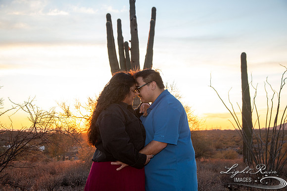 M&M (381 of 394)