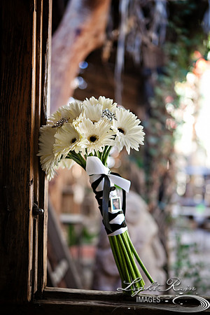 KJ_13_LightRainImages