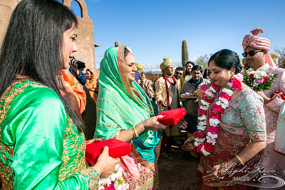 LRI-OV115_PatelSK-02232019