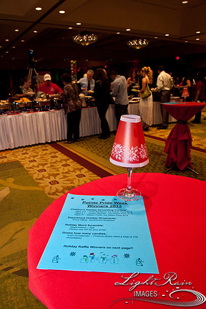 777_HolidayVenueDetails2013byLightRainImages