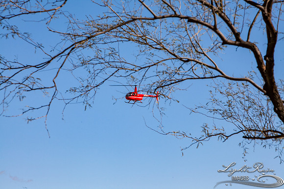 LRI-OV418_PatelSK-02232019