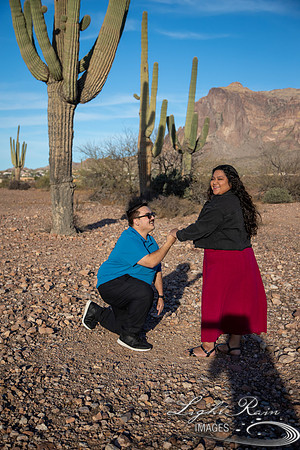 M&M (87 of 394)