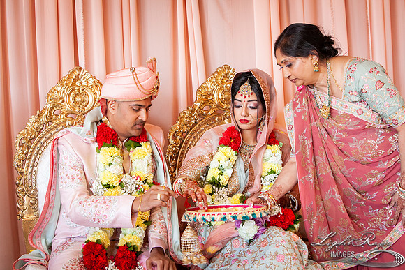 LRI-OV300_PatelSK-02232019