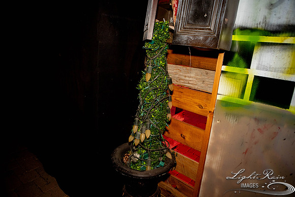 untitled (163 of 206)