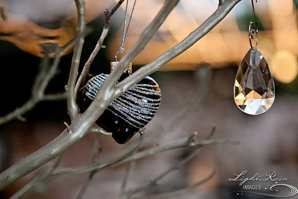 KJ_51_LightRainImages