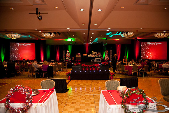 768_HolidayVenueDetails2013byLightRainImages