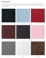 020Standard Leather covers