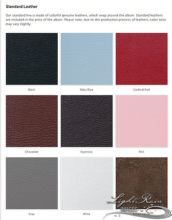 020Standard Leather covers