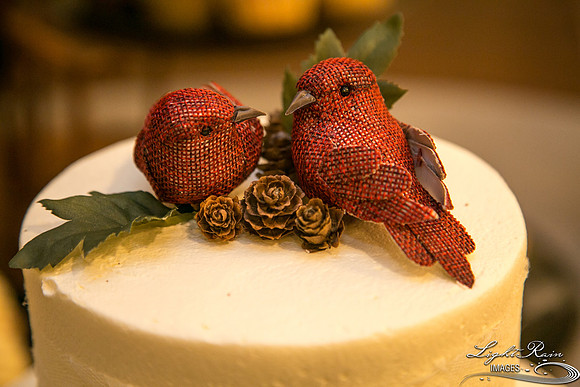 118-LakesideWeddingPhotos
