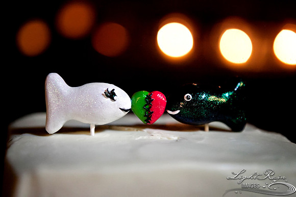 KJ_64_LightRainImages