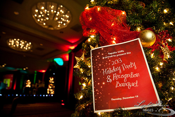 780_HolidayVenueDetails2013byLightRainImages