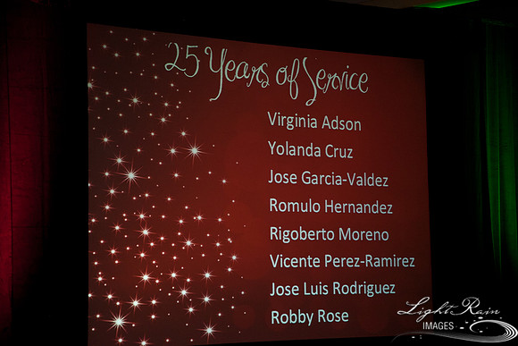 065_HolidayParty2013byLightRainImages