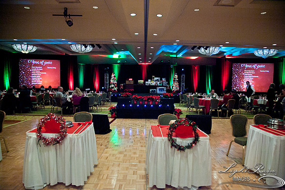 771_HolidayVenueDetails2013byLightRainImages