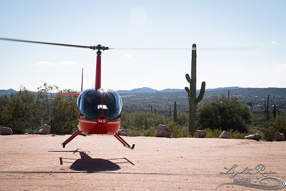 LRI-OV384_PatelSK-02232019