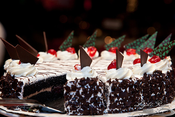 730_HolidayVenueDetails2013byLightRainImages