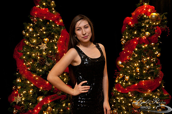 500_HolidayPhotoBooth2013byLightRainImages