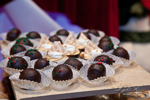 715_HolidayVenueDetails2013byLightRainImages