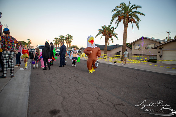 untitled (19 of 206)