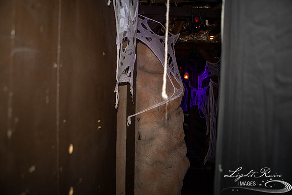 untitled (117 of 206)