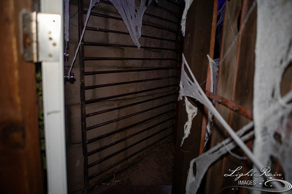 untitled (112 of 206)