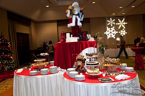 729_HolidayVenueDetails2013byLightRainImages