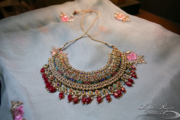 LRI-OV003_PatelSK-02232019