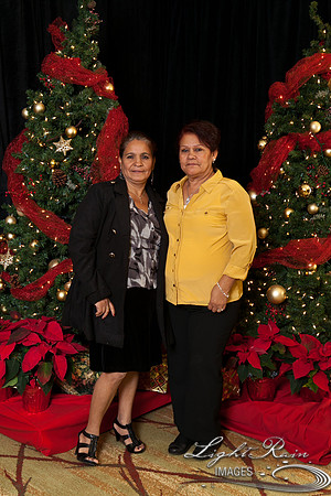 484_HolidayPhotoBooth2013byLightRainImages