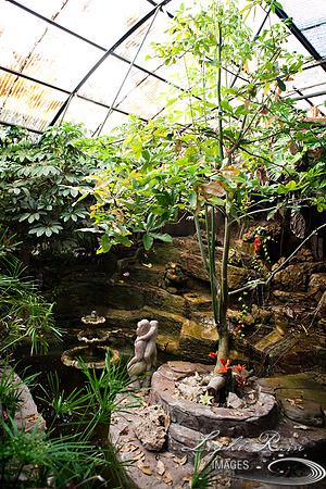 KJ_37_LightRainImages
