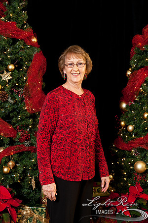 296_HolidayPhotoBooth2013byLightRainImages