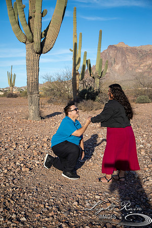 M&M (83 of 394)