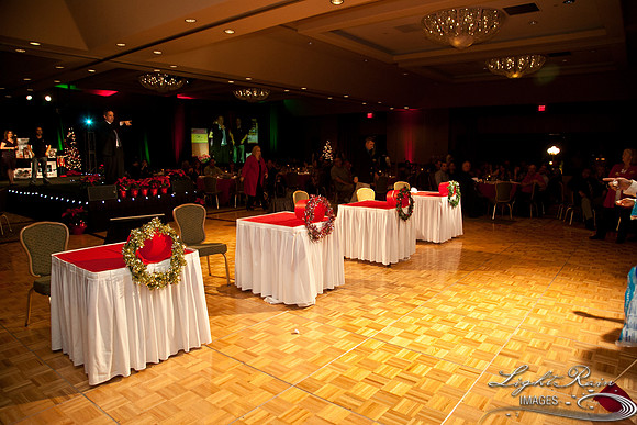232_HolidayParty2013byLightRainImages