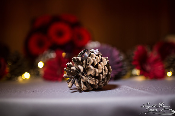 137-LakesideWeddingPhotos