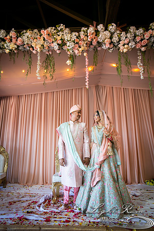 LRI-OV353_PatelSK-02232019