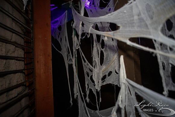 untitled (113 of 206)